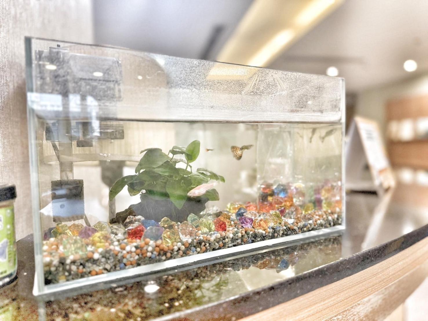 Yoai Nemuru Inn 台南 エクステリア 写真